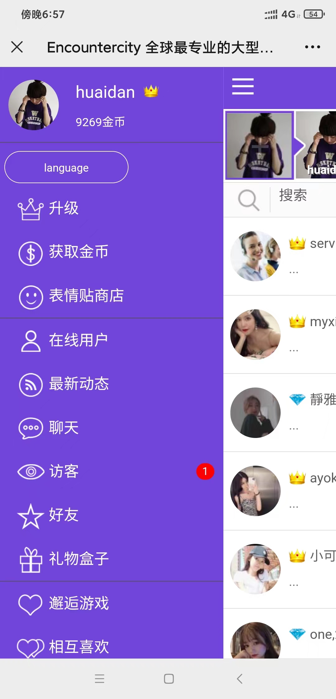 全球最专业的国际交友恋爱网站大型国际交友网交友网站12国语言  4163无名网络